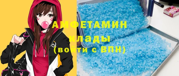индика Алзамай