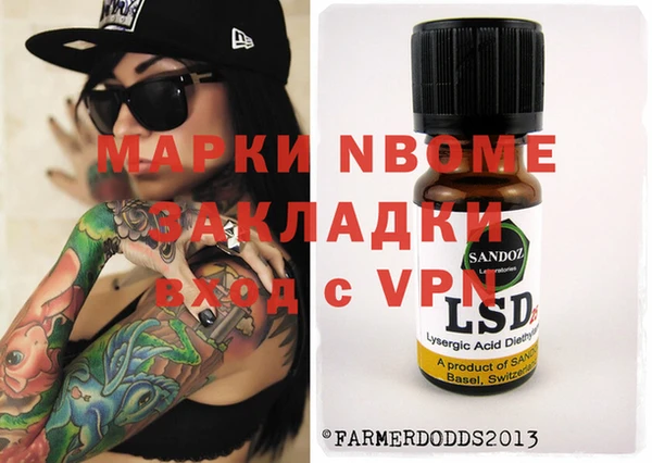 индика Алзамай