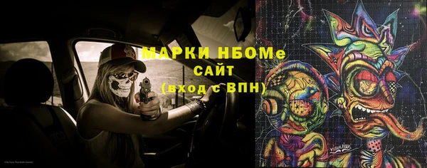 индика Алзамай