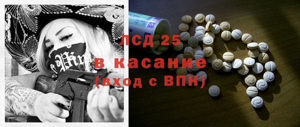 индика Алзамай